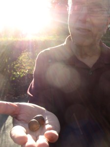 Baba holds out two acorns.