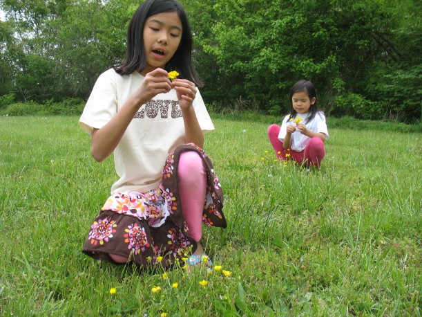 Girls in meadow